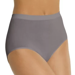 Bali® Comfort Revolution Seamless Microfiber Brief 803J -Bali Underwear Discount Store 1035464 Excalibur