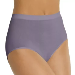 Bali® Comfort Revolution Seamless Microfiber Brief 803J -Bali Underwear Discount Store 1035464 Private Jet
