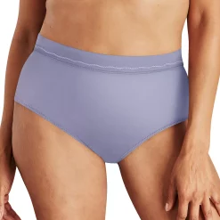 Women's Bali® Modern Microfiber Brief Panty DFMMMB -Bali Underwear Discount Store 5749932 Winter Lake